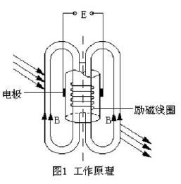 插入式電磁流量計(圖1)